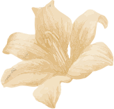 Best Spa in Hyderabad