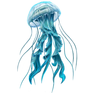 Bodhi Wellness spa therapy and relaxation service promotional image used on website